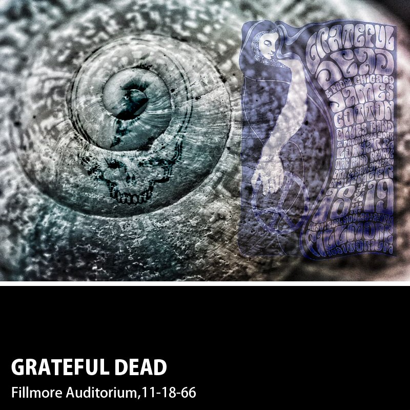 https://archive.org/details/gd1966-11-18.169871.sbd.flegel.ciaffa.miller.flac2444